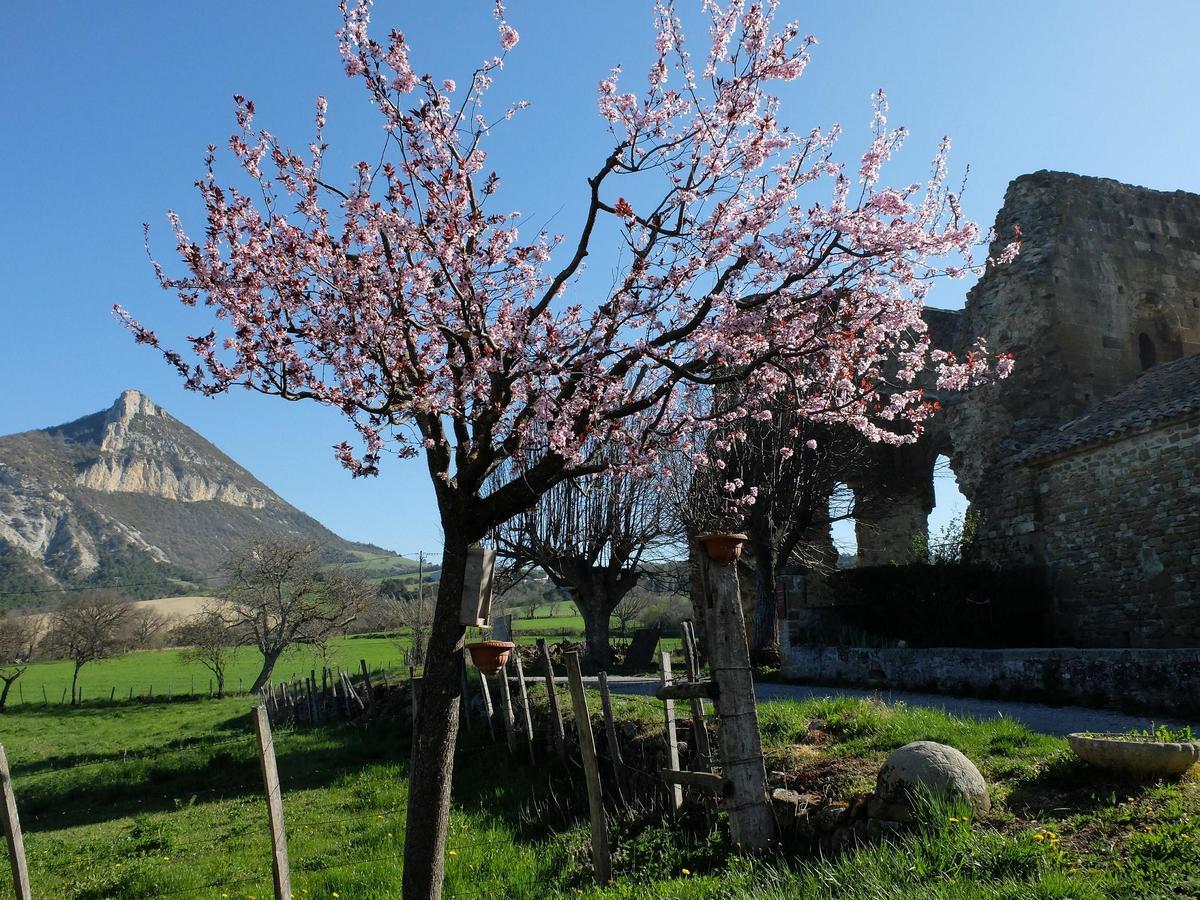 Auberge Du Prieure Saint-André-de-Rosans Eksteriør billede