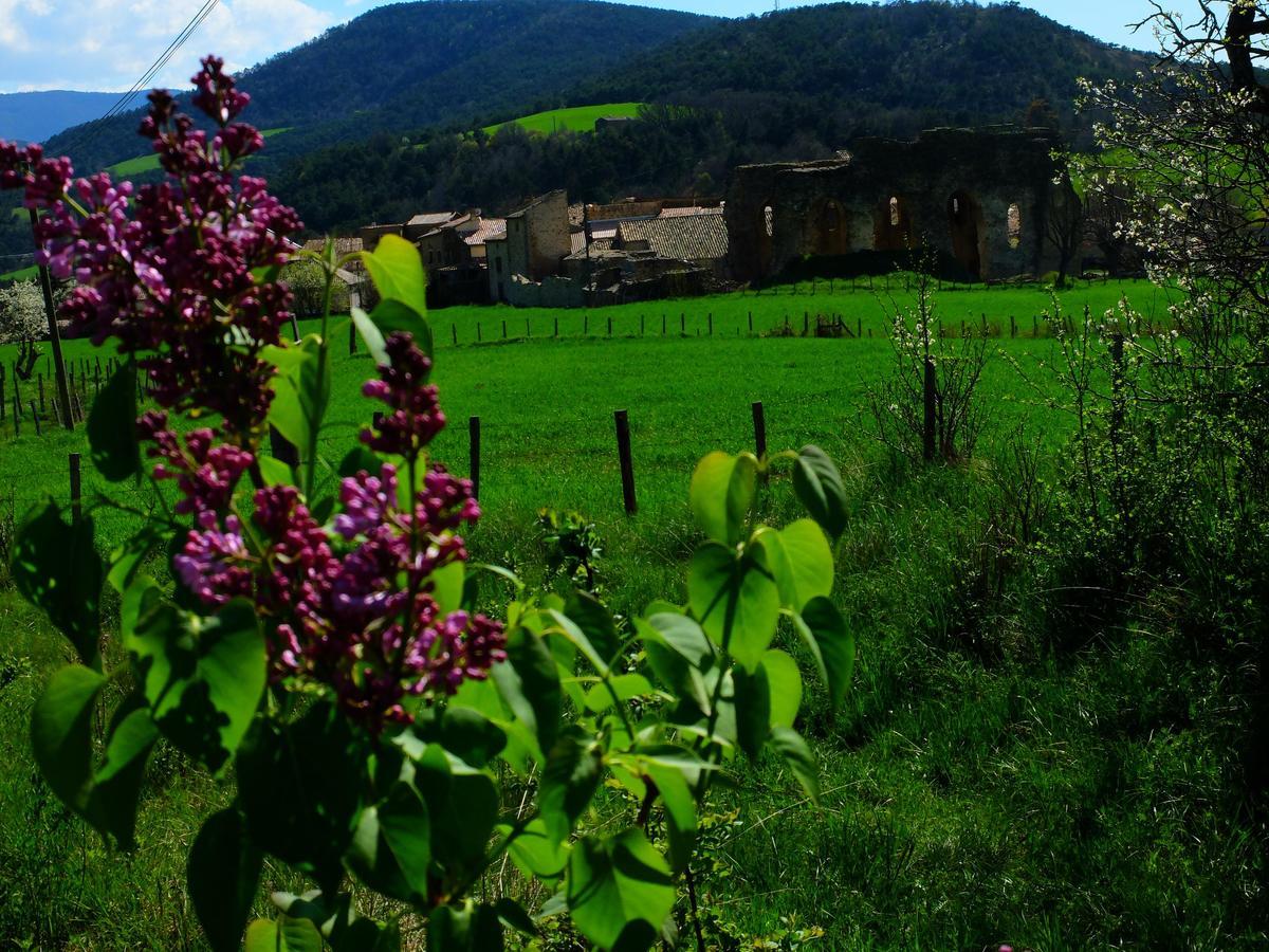 Auberge Du Prieure Saint-André-de-Rosans Eksteriør billede